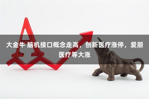 大金牛 脑机接口概念走高，创新医疗涨停，爱朋医疗等大涨