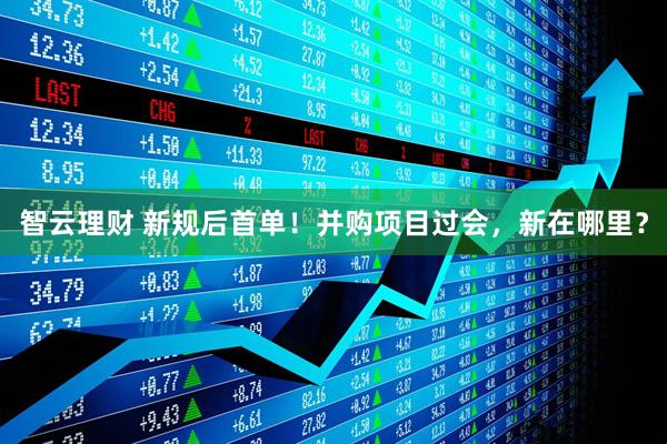 智云理财 新规后首单！并购项目过会，新在哪里？