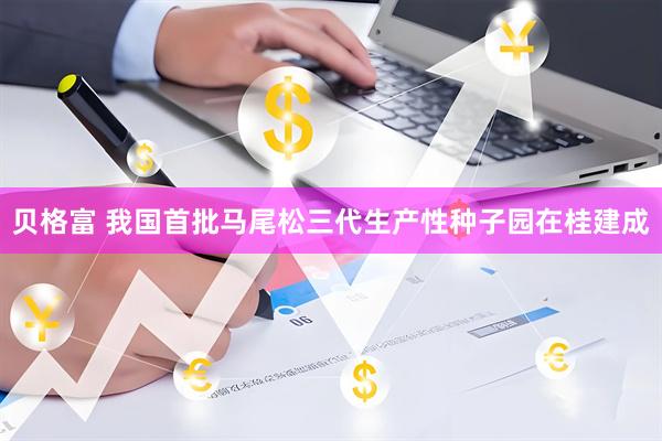 贝格富 我国首批马尾松三代生产性种子园在桂建成