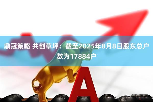 鼎冠策略 共创草坪：截至2025年8月8日股东总户数为17884户