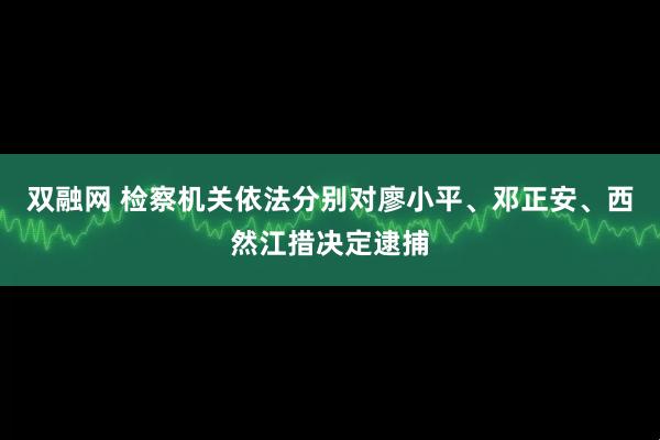 双融网 检察机关依法分别对廖小平、邓正安、西然江措决定逮捕