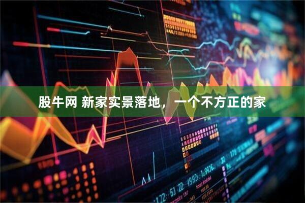 股牛网 新家实景落地，一个不方正的家